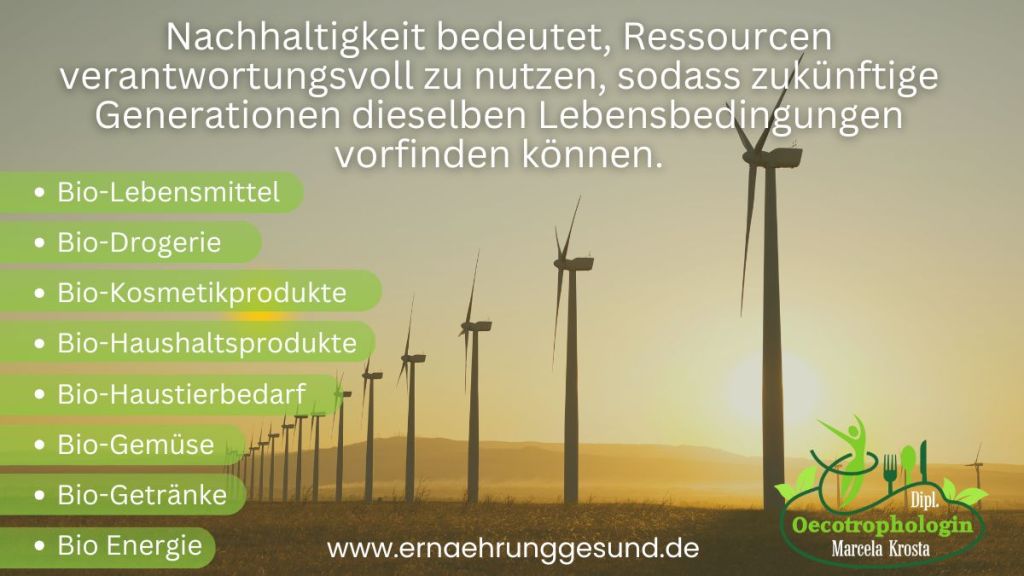 Der Klimawandel zeigt, dass Nachhaltigkeit kein Luxus, sondern eine Notwendigkeit ist.
