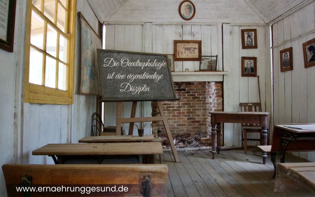 Weniger Chaos dank nachhaltiger Ernährung und Haushaltsführung