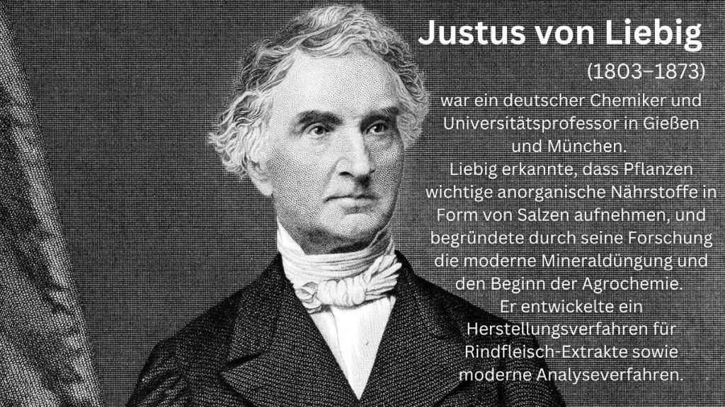 Umweltbewusst leben mit nachhaltiger Ernährung und Haushaltsführung