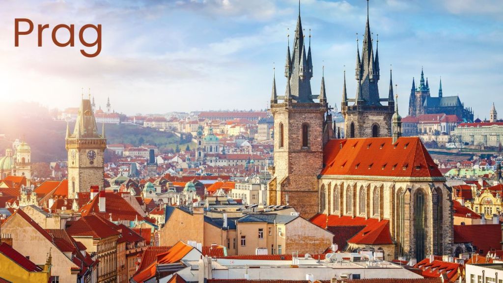 Nachhaltige Ernährung und Haushaltsführung bedeuten, nicht nur gesunde und regionale Produkte zu wählen, sondern auch den Haushalt umweltfreundlich und effizient zu organisieren