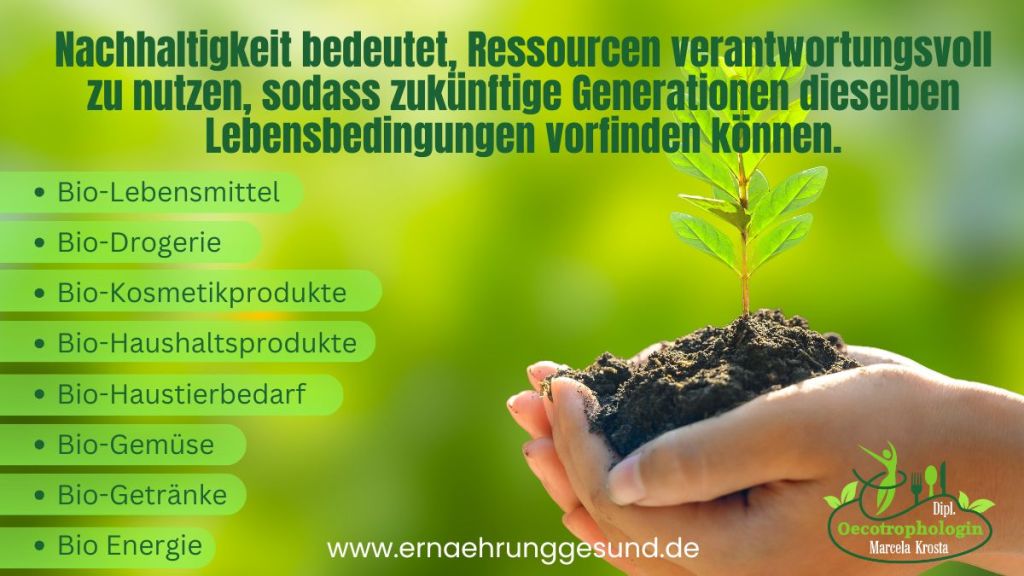 Der Klimawandel macht deutlich, dass nachhaltiges Handeln keine Option, sondern eine zwingende Notwendigkeit ist